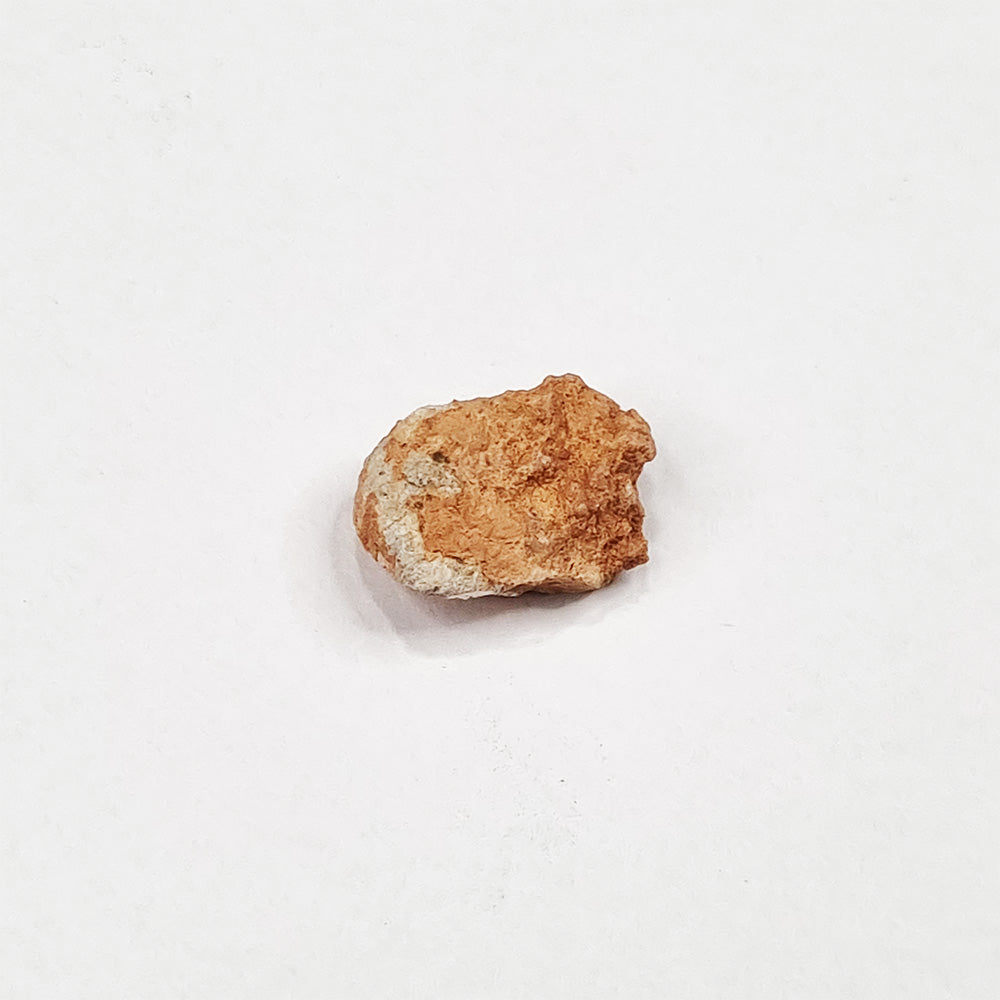 *Rare* Lunar Meteorite 1.5cm