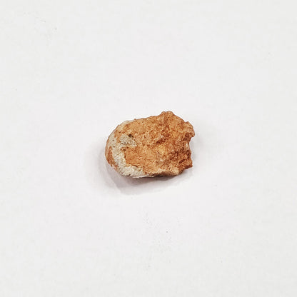 *Rare* Lunar Meteorite 1.5cm