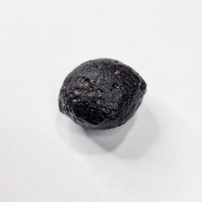 Australite (Australian Tektite) (790,000 Years Old) 14.3g