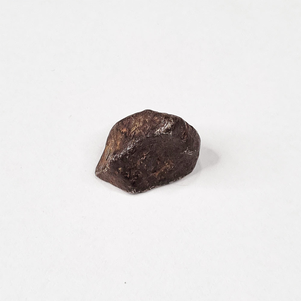 Mundrabilla Meteorite (Western Australia-1911) 9.3g