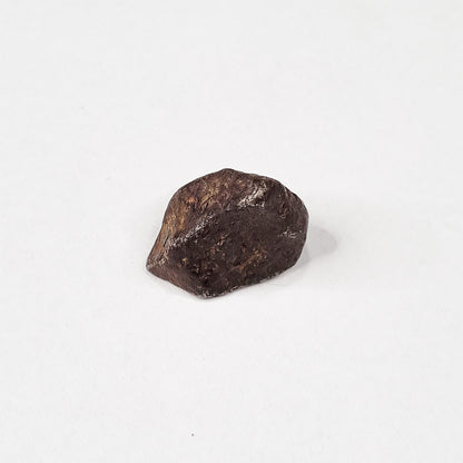Mundrabilla Meteorite (Western Australia-1911) 9.3g