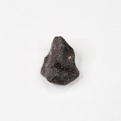 Camel Donga Meteorite (Nullarbor Plain- Western Australia- 1980) 4g
