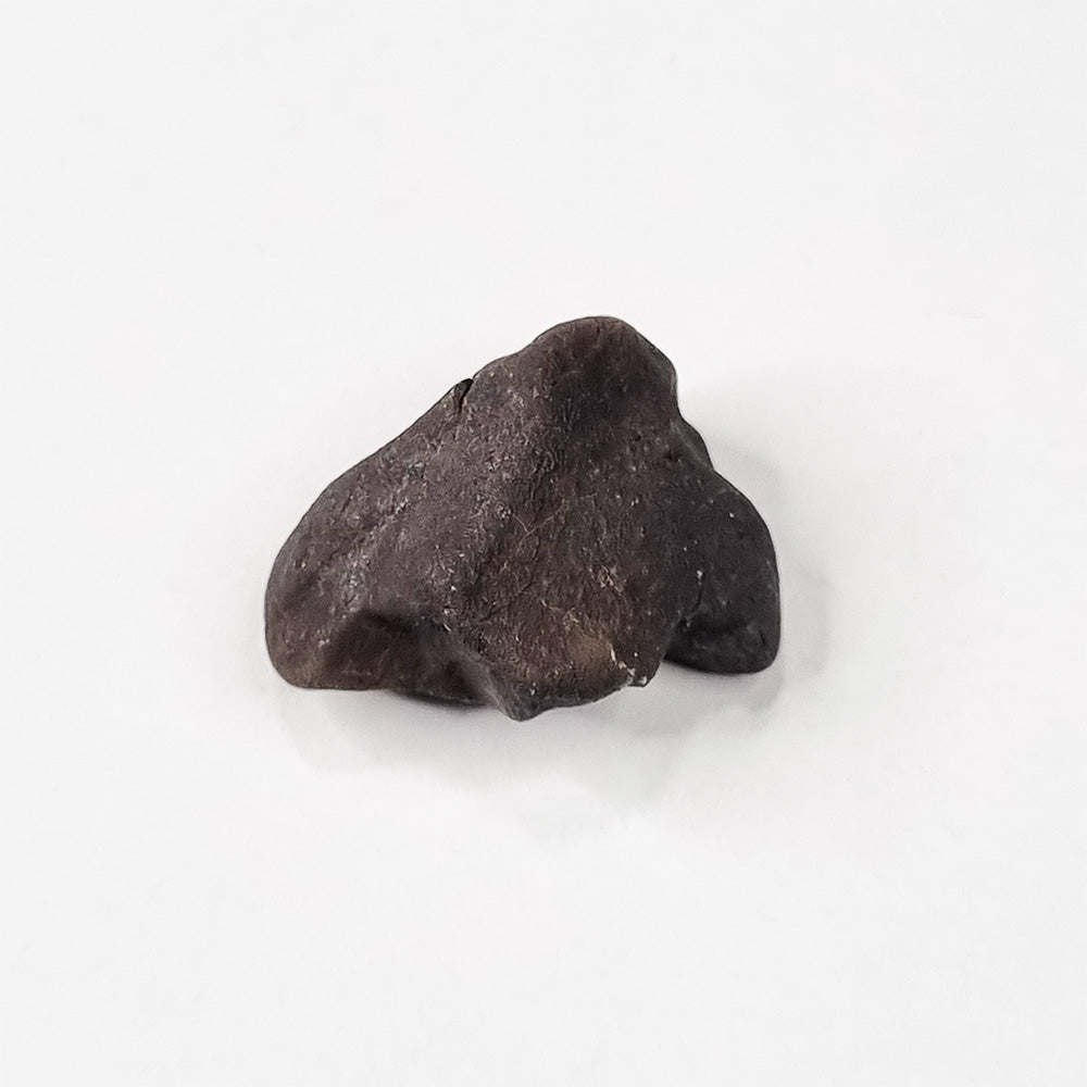 Wiluna Meteorite (Western Australia- 1967) 14.07g
