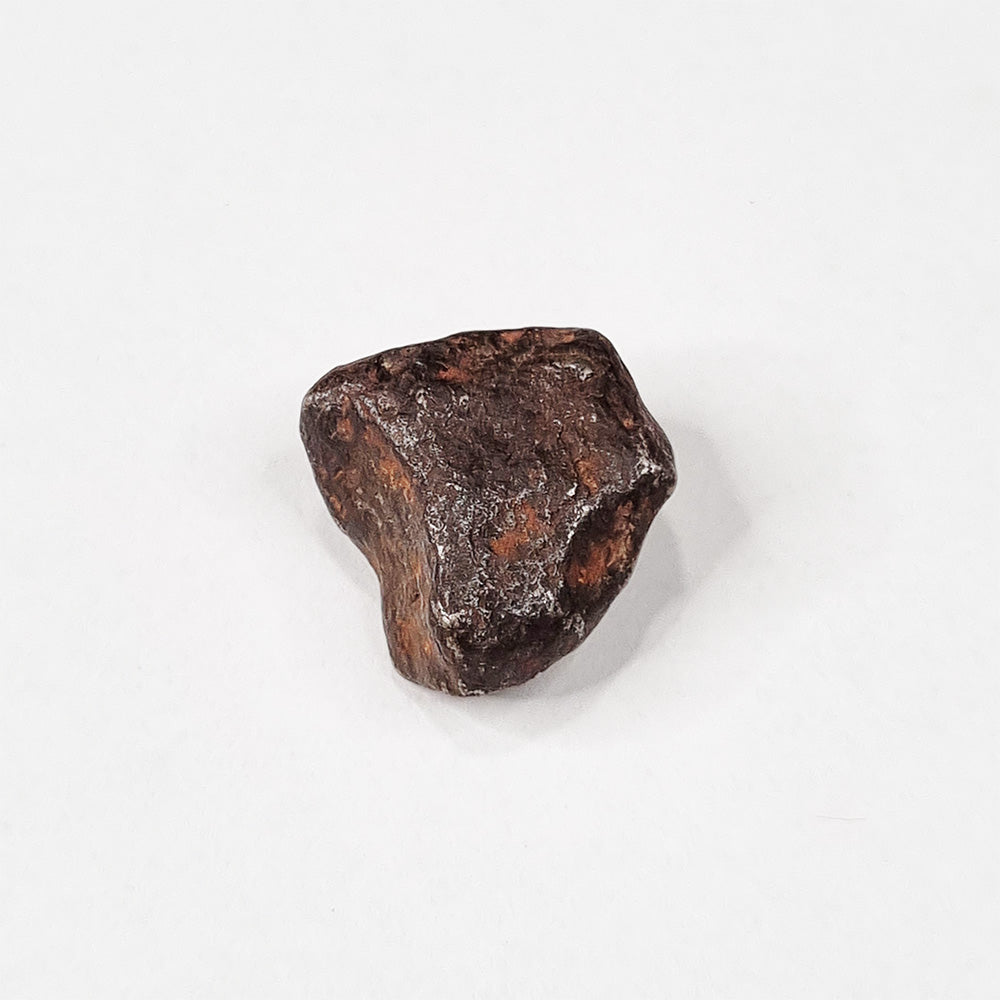 Mundrabilla Meteorite (Western Australia-1911) 14g