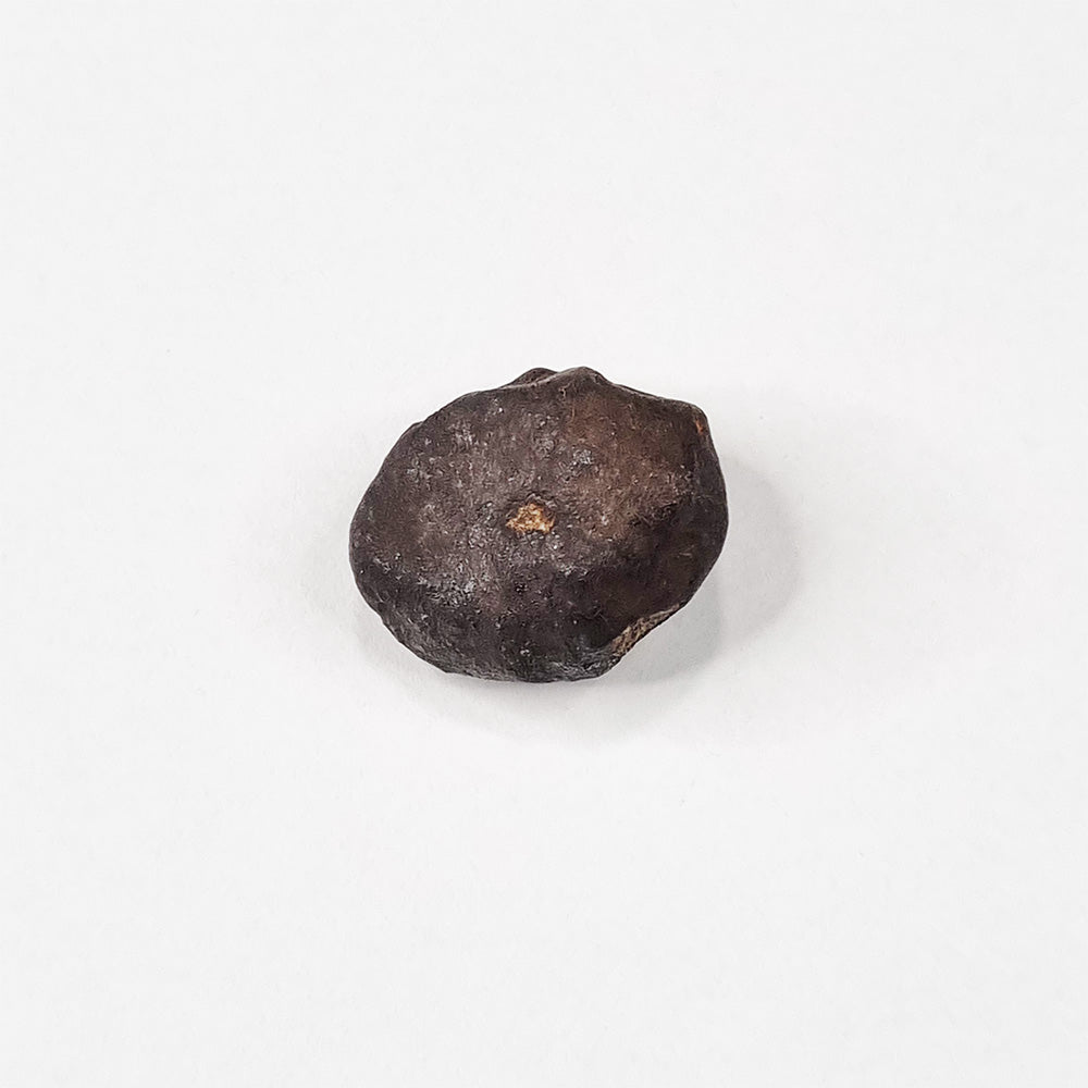 Wiluna Meteorite (Western Australia- 1967) 10g
