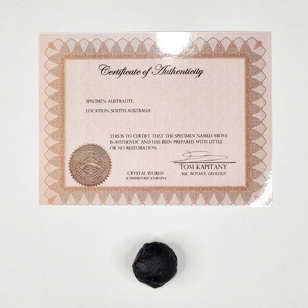 Australite (Australian Tektite) (790,000 Years Old) 14.3g