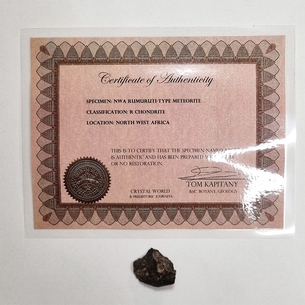 *Rare* NWA Rumuruti Meteorite (North West Africa, 1934) 7.3g
