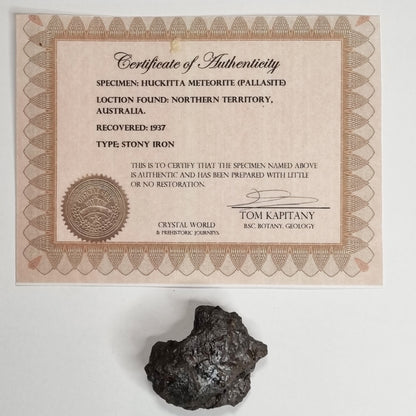 Huckitta Meteorite (Northern Territory- 18,000 Years Old) 42g