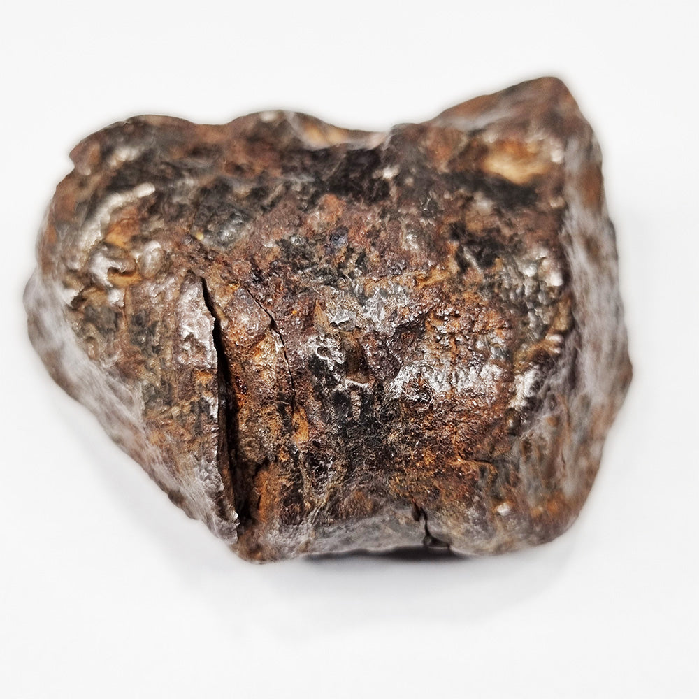 Nantan Meteorite (China- 1516) 370g