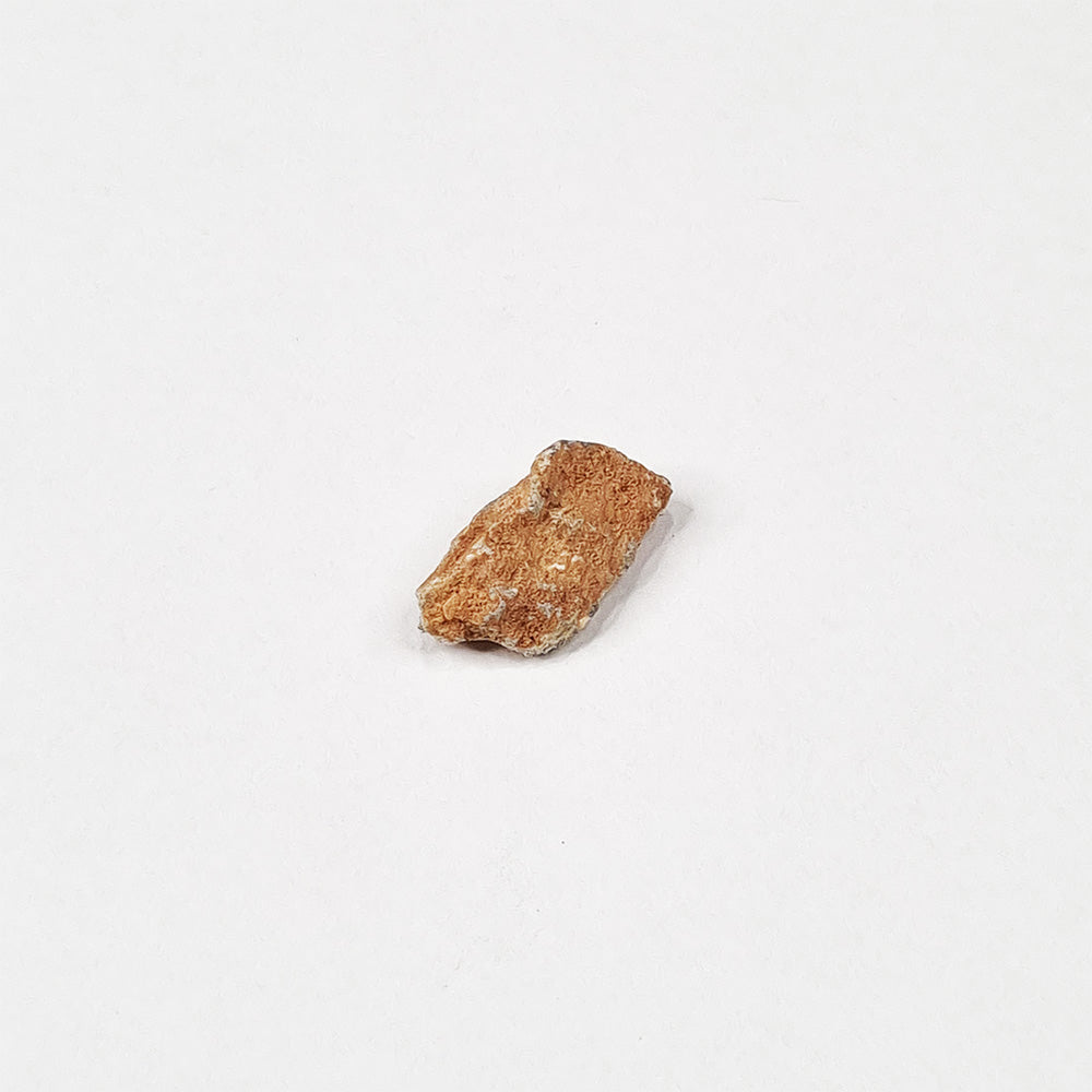 *Rare* Lunar Meteorite 1.8cm