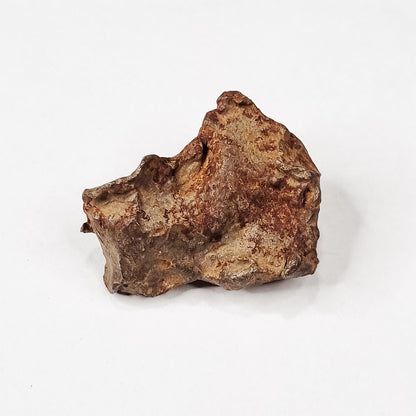 Gebel Kamil Meteorite (Egypt < 5000 Years Old) 39g