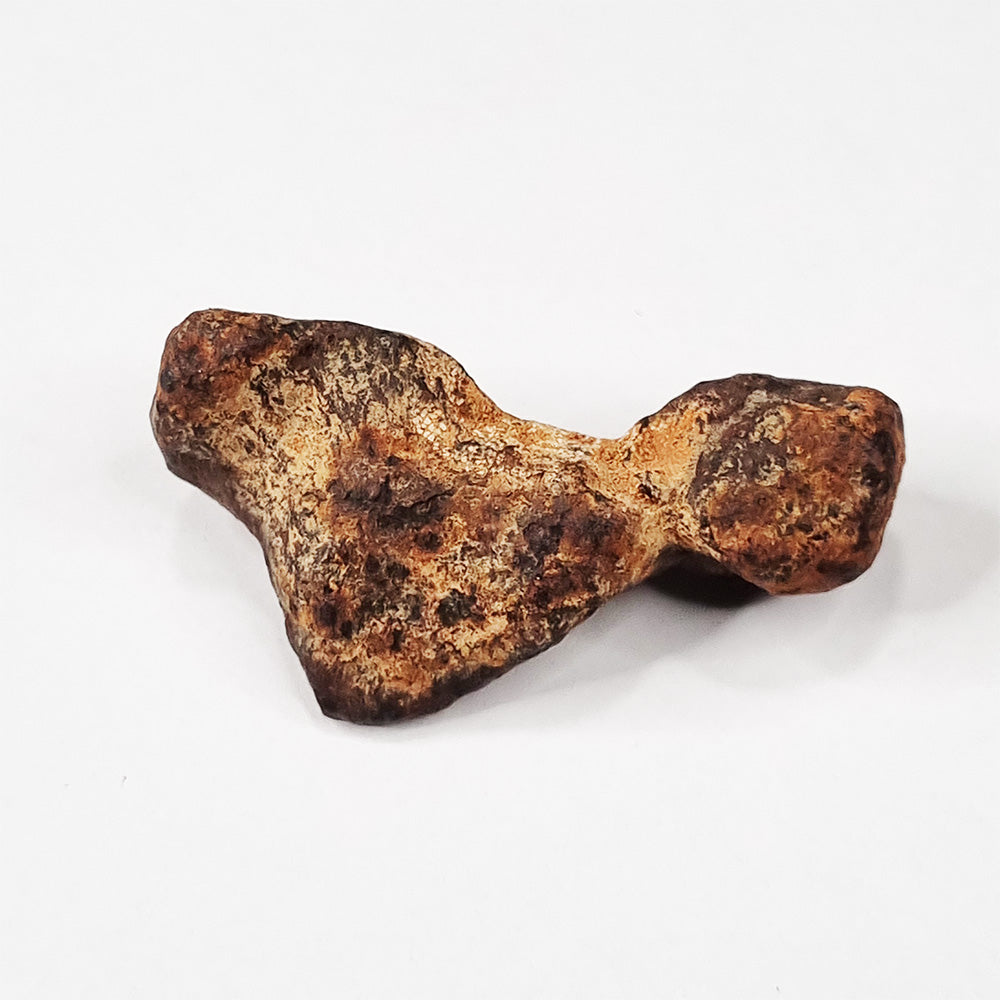Mundrabilla Meteorite (Western Australia-1911) 82g