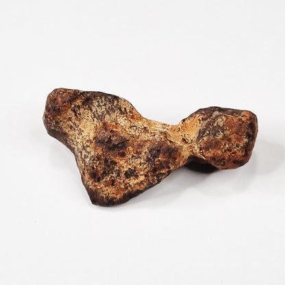 Mundrabilla Meteorite (Western Australia-1911) 82g