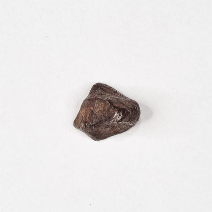 Mundrabilla Meteorite (Western Australia-1911) 9.3g