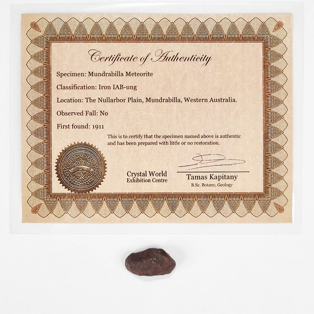 Mundrabilla Meteorite (Western Australia-1911) 11g