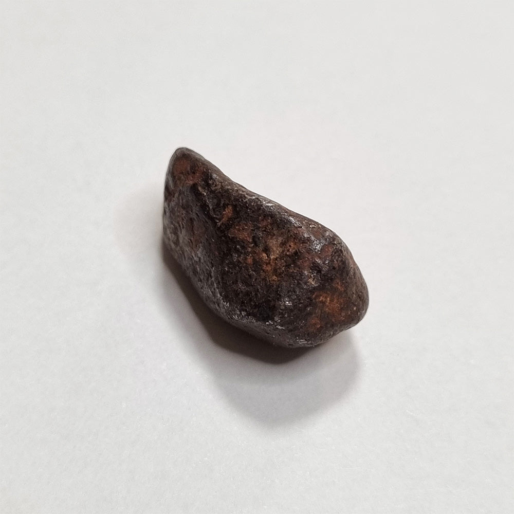 Mundrabilla Meteorite (Western Australia-1911) 9g