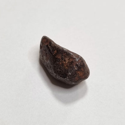 Mundrabilla Meteorite (Western Australia-1911) 9g