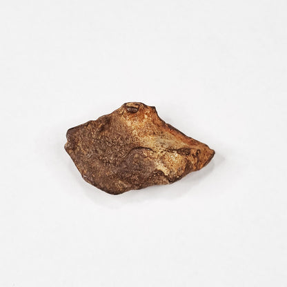 Gebel Kamil Meteorite (Egypt < 5000 Years Old) 28.4g