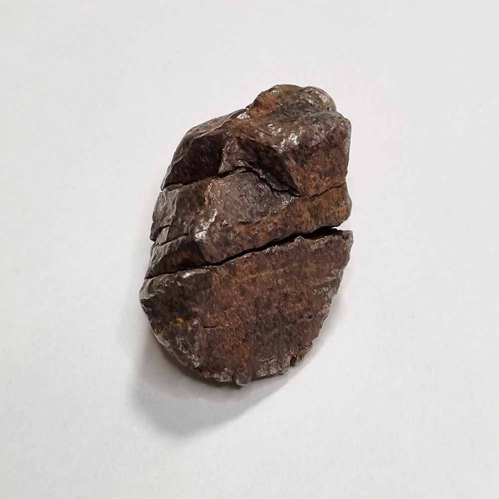 Nantan Meteorite 88g (China- 1516)