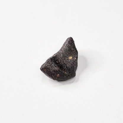Camel Donga Meteorite (Nullarbor Plain- Western Australia- 1980) 4g