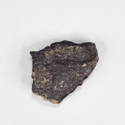 Wiluna Meteorite (Western Australia- 1967) 24g