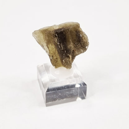 Darwin Glass Meteorite Impact Melt (Tasmania- 816,000 Years Old) 11g