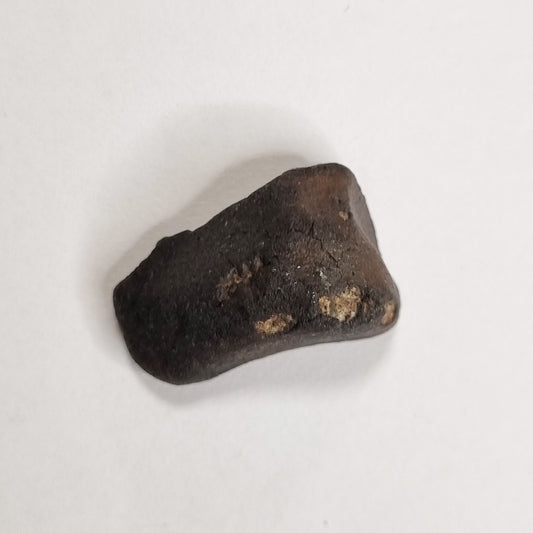 Wiluna Meteorite (Western Australia- 1967) 10g