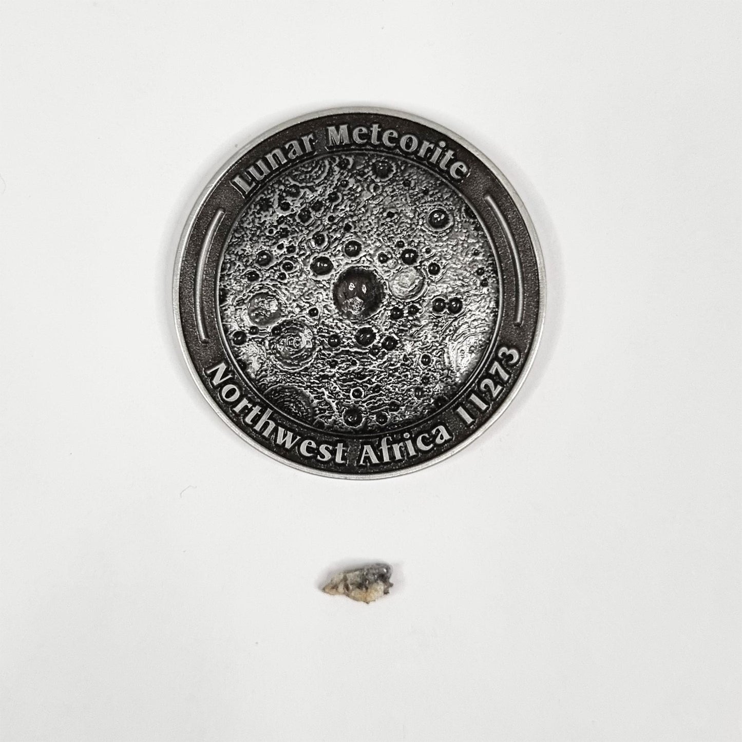 Lunar Meteorite Coin 0124
