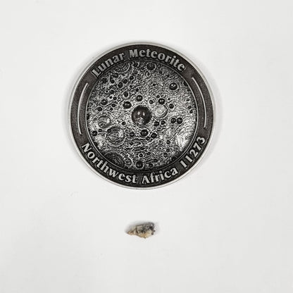 Lunar Meteorite Coin 0124