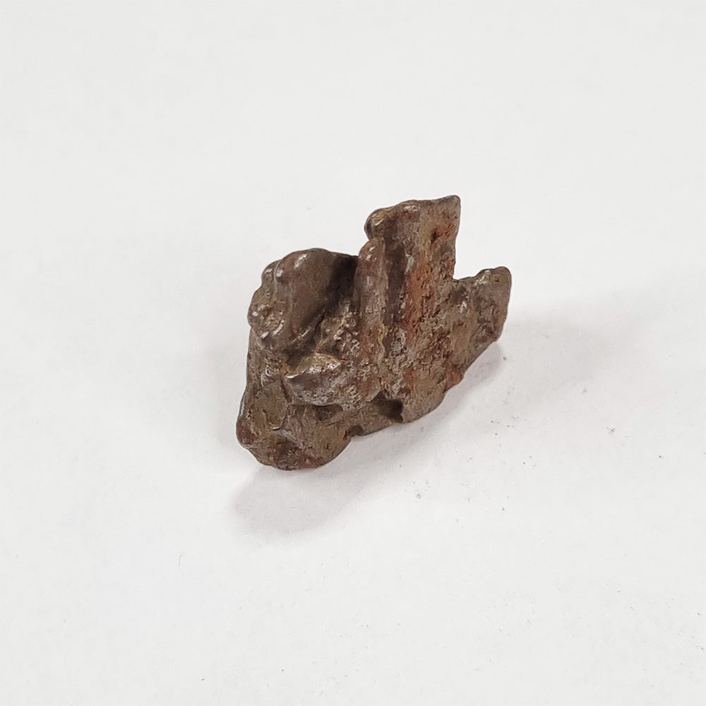 Nantan Meteorite (China- 1516) 6g