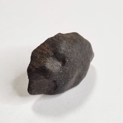 Wiluna Meteorite (Western Australia- 1967) 14g