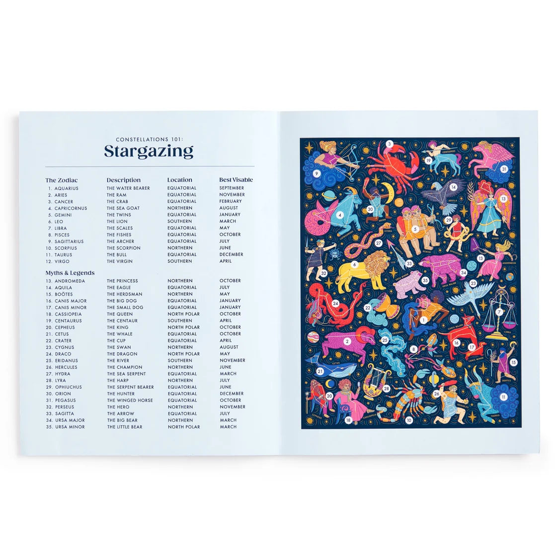 Constellations 101: Stargazing Book Puzzle (500 pieces)