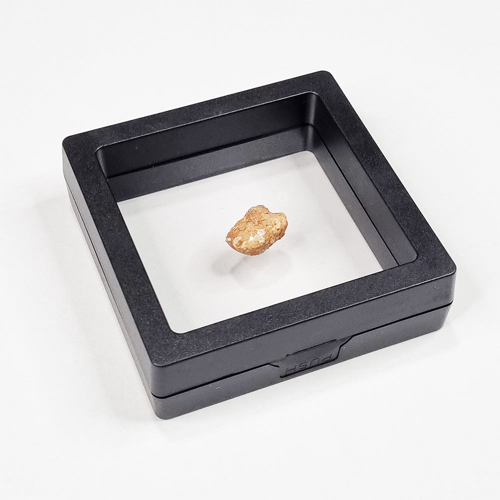 *Rare* Lunar Meteorite 1.5cm