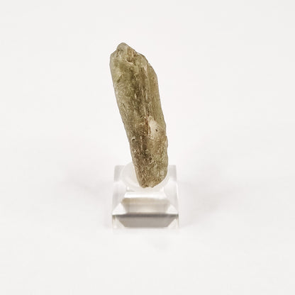 Darwin Glass Meteorite Impact Melt (Tasmania- 816,000 Years Old) 16g