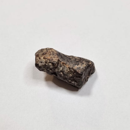 *Rare* NWA Rumuruti Meteorite (North West Africa, 1934) 6g