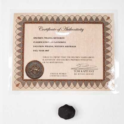 Wiluna Meteorite (Western Australia- 1967) 10g