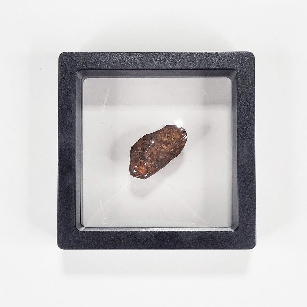 Mundrabilla Meteorite (Western Australia-1911) 11g