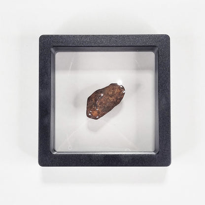 Mundrabilla Meteorite (Western Australia-1911) 11g