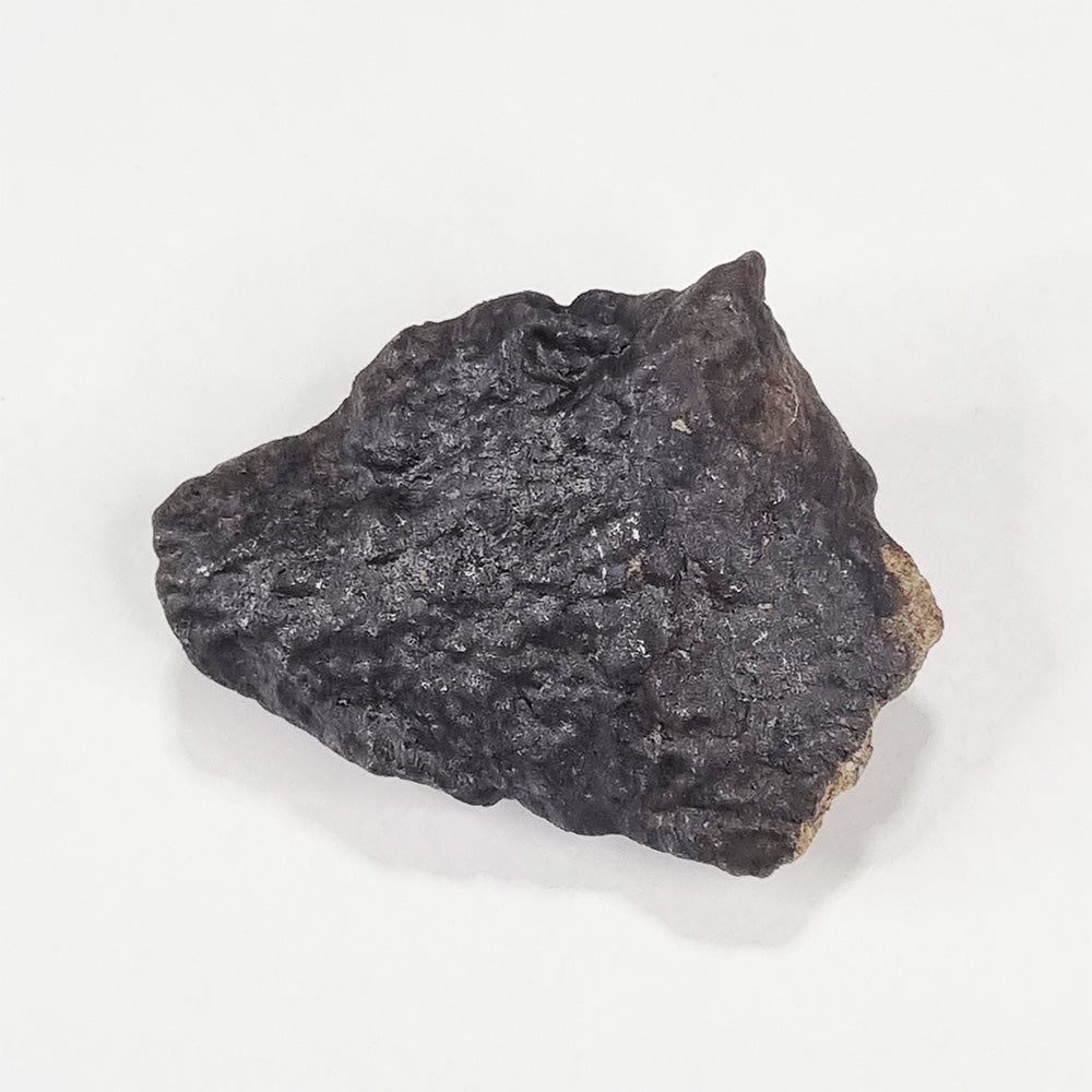 Wiluna Meteorite (Western Australia- 1967) 24g