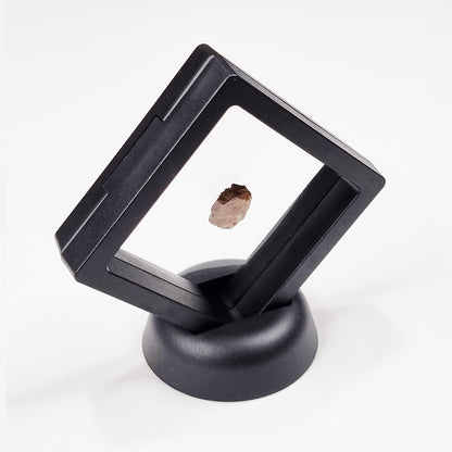 *Rare* Lunar Meteorite 1.5cm