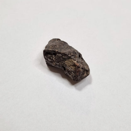 *Rare* NWA Rumuruti Meteorite (North West Africa, 1934) 6g