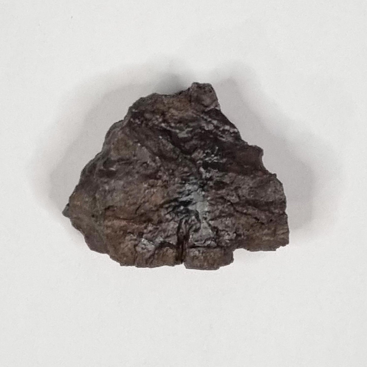 Huckitta Meteorite (Northern Territory- 1920's) 30g