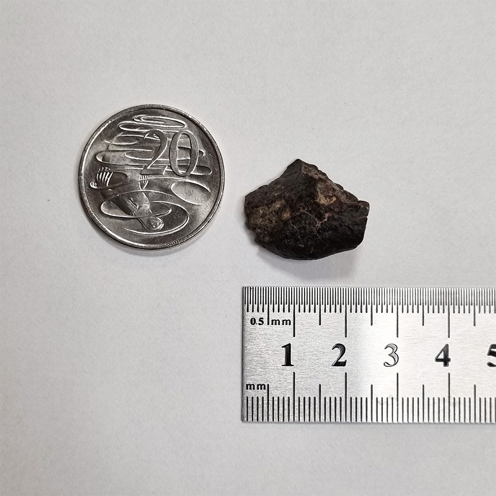 *Rare* NWA Rumuruti Meteorite (North West Africa, 1934) 7.3g