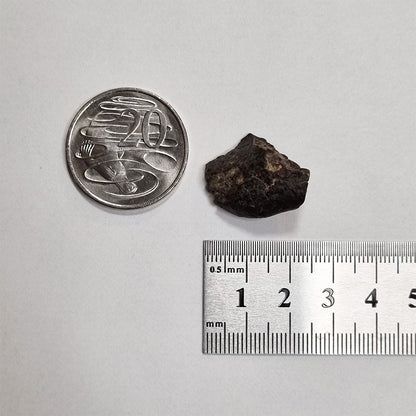 *Rare* NWA Rumuruti Meteorite (North West Africa, 1934) 7.3g