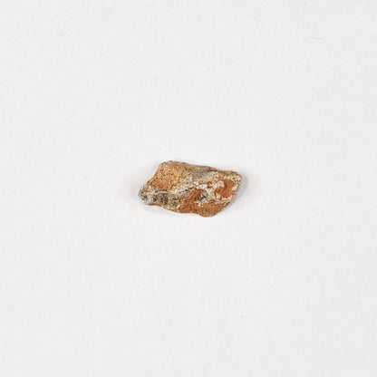 *Rare* Lunar Meteorite 1.8cm