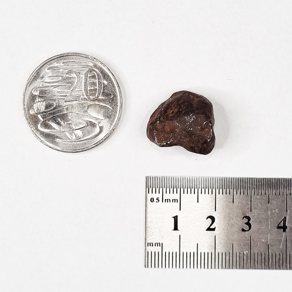 Mundrabilla Meteorite (Western Australia-1911) 14g