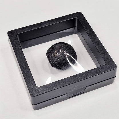 Australite (Australian Tektite) (790,000 Years Old) 14.3g