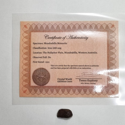 Mundrabilla Meteorite (Western Australia-1911) 9g