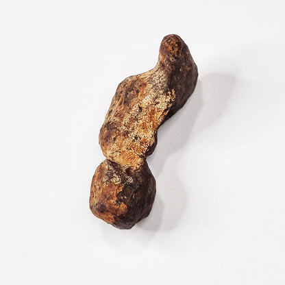 Mundrabilla Meteorite (Western Australia-1911) 82g