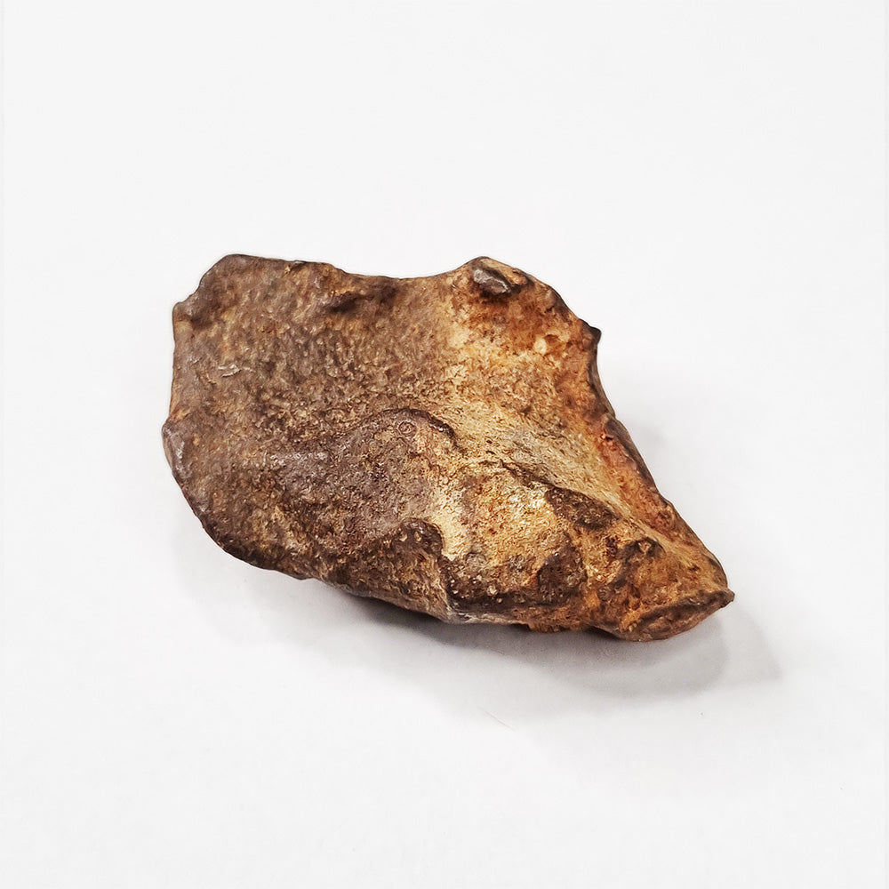 Gebel Kamil Meteorite (Egypt < 5000 Years Old) 28.4g